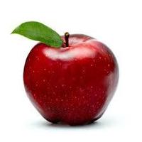 THE GREAT ME-APPEL PROGRAM